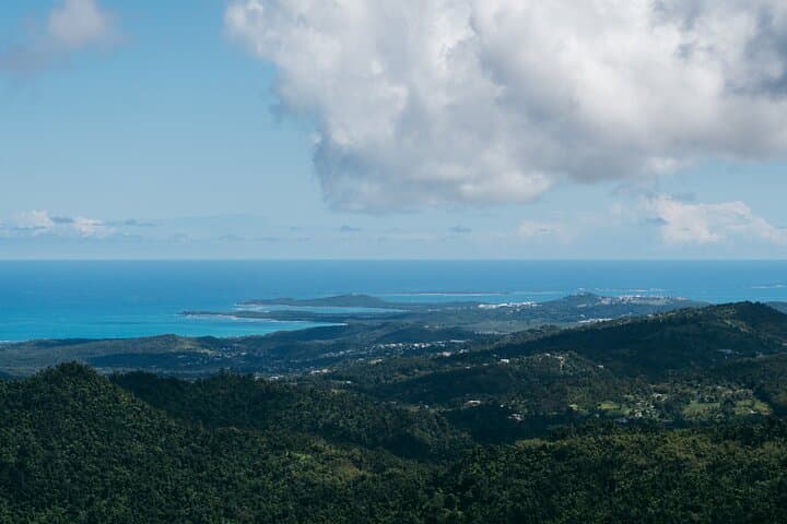 Half-Day El Yunque Rainforest Tour from San Juan — Waterfalls, Tower Views & Short Hike photo 5
