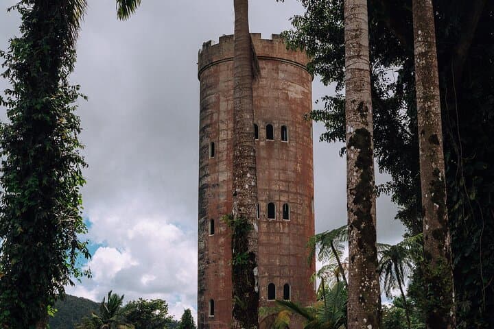Half-Day El Yunque Rainforest Tour from San Juan — Waterfalls, Tower Views & Short Hike photo 4