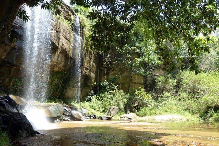 Shimba Hills Safari & Sheldrick Waterfall — Full-Day Private Tour from Diani Beach photo 4