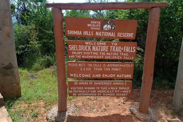 Shimba Hills Safari & Sheldrick Waterfall — Full-Day Private Tour from Diani Beach photo 6