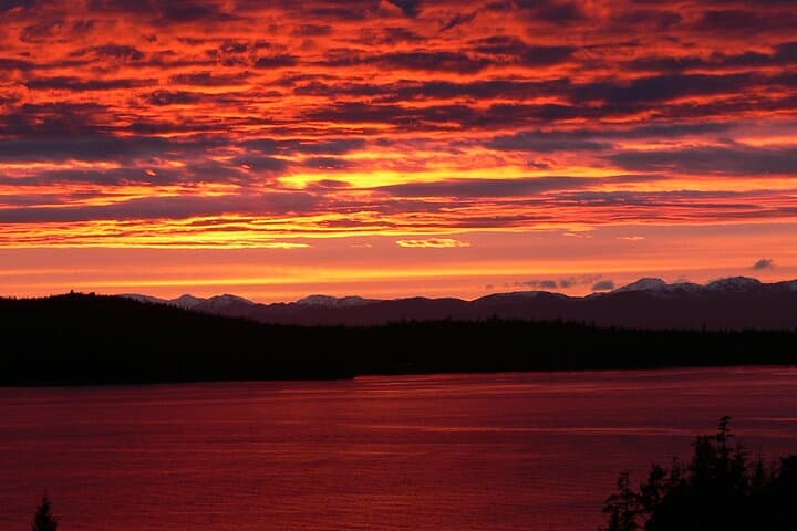 Exploring Ketchikan’s Hidden Corners: A 3-Hour Photo Safari Adventure photo 6