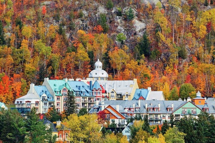 Mont-Tremblant Day Tour: Gondola Summit, Treetop Walk & Saint‑Sauveur from Montreal