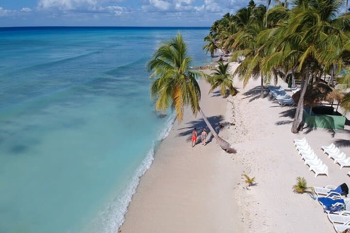 Full-Day Saona Island Excursion from Punta Cana: Beaches, Natural Pools & Local Lunch