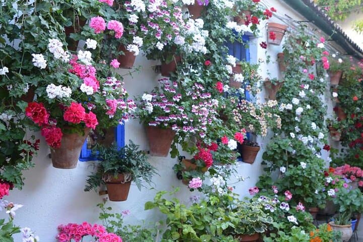 Inside Córdoba's Patios: Private Guided Tour of Historic Courtyards photo 3
