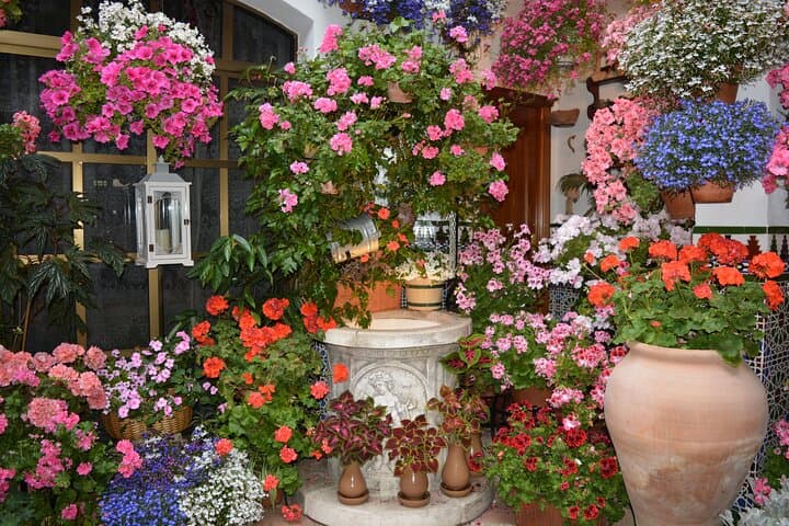 Inside Córdoba's Patios: Private Guided Tour of Historic Courtyards photo 6