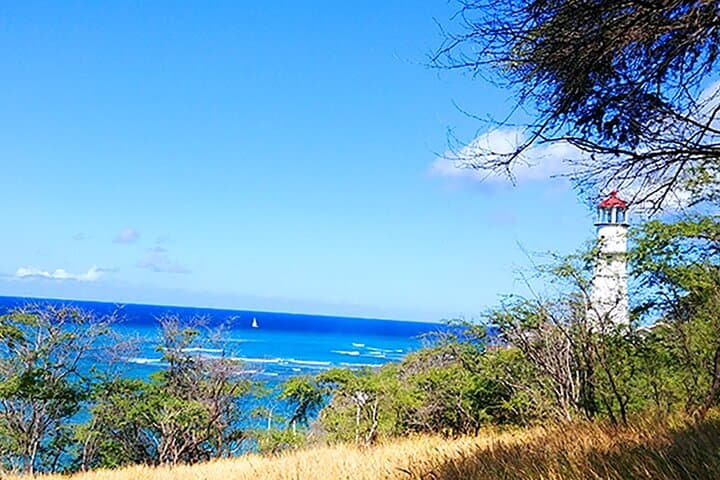 Oahu Circle Island Tour: Full-Day Drive with Turtle Snorkeling, North Shore Eats & Iconic Lookouts photo 2
