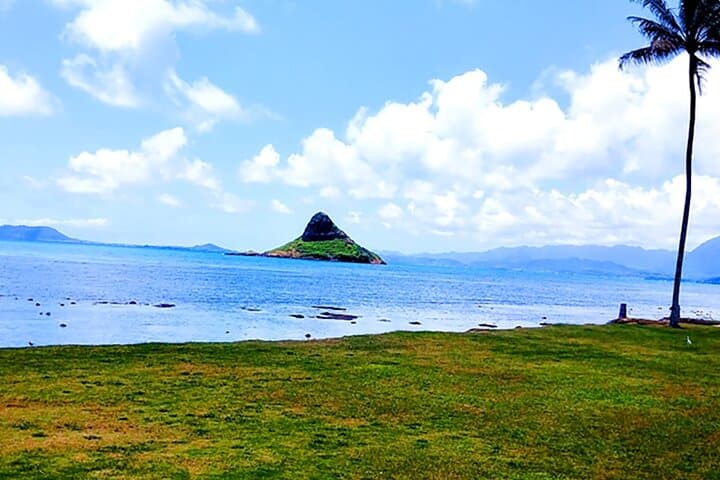 Oahu Circle Island Tour: Full-Day Drive with Turtle Snorkeling, North Shore Eats & Iconic Lookouts photo 3