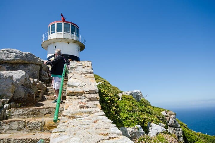 Half-Day Boulders Beach & Cape Point Tour: Penguins, Cliffs and Lighthouse Views photo 4