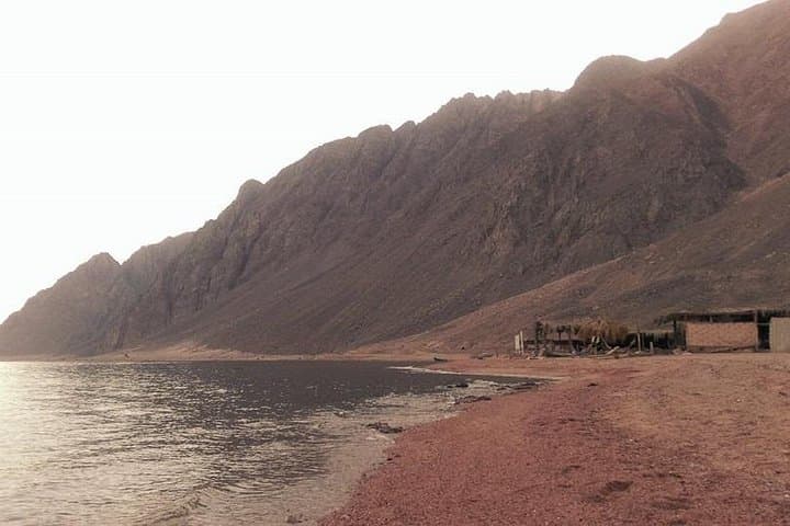 Dahab Double-Act: Full-Day Snorkel and Quad-Bike Adventure from Sharm El Sheikh photo 2