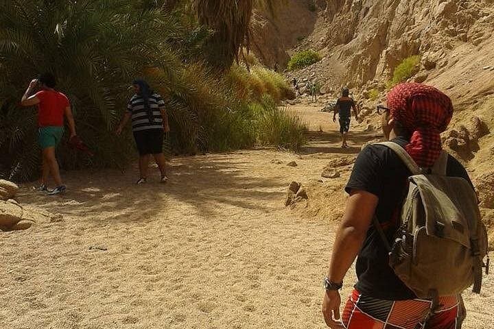 Dahab Double-Act: Full-Day Snorkel and Quad-Bike Adventure from Sharm El Sheikh photo 4