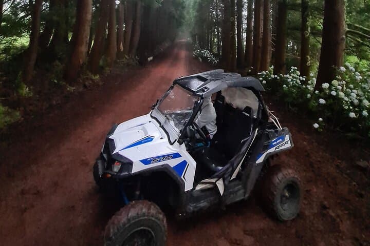 Terceira Off‑Road UTV Buggy Tour — West & Central Island Adventure photo 3