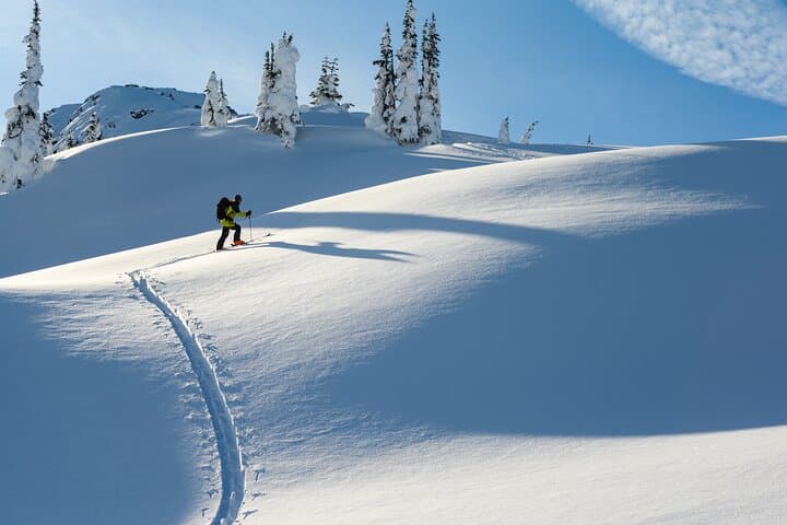 Whistler Backcountry Skiing and Splitboarding: Guided Powder Tours from the Gondola