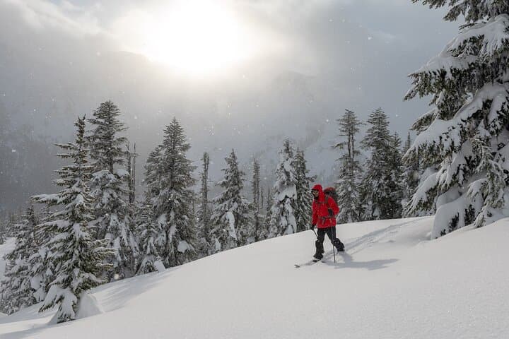 Whistler Backcountry Skiing and Splitboarding: Guided Powder Tours from the Gondola photo 3