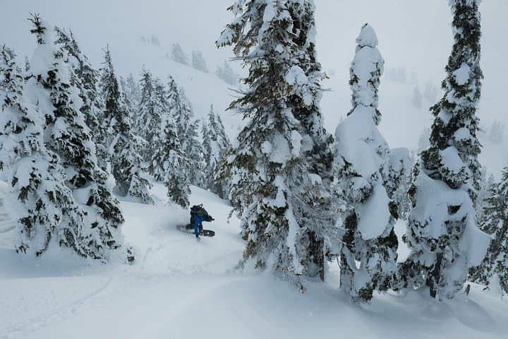 Whistler Backcountry Skiing and Splitboarding: Guided Powder Tours from the Gondola photo 5