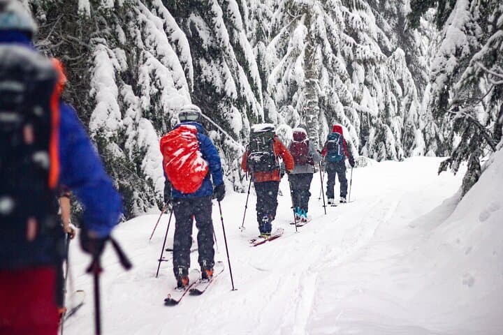 Whistler Intro to Backcountry Skiing and Splitboarding — Guided Day on Untracked Snow