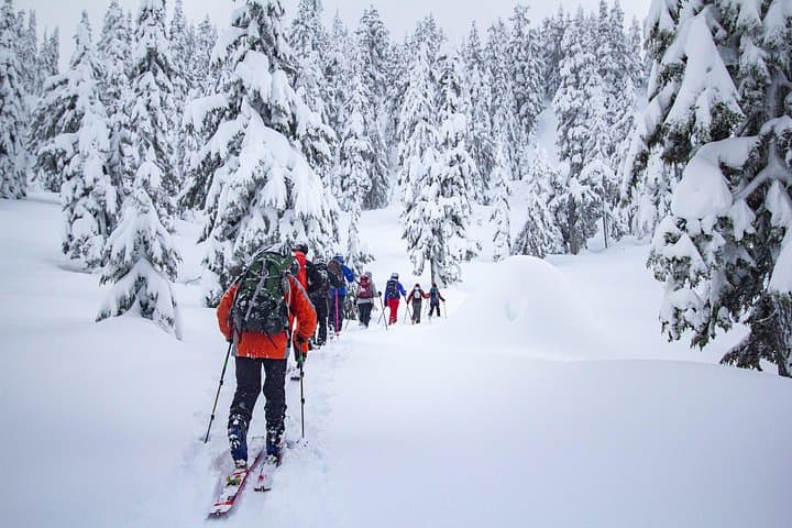 Whistler Intro to Backcountry Skiing and Splitboarding — Guided Day on Untracked Snow photo 6