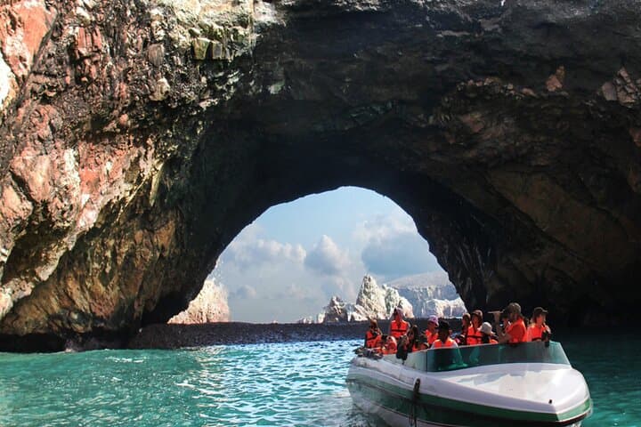 Ballestas Islands Morning Wildlife Cruise from Paracas — 2-Hour Boat Tour with Entrances