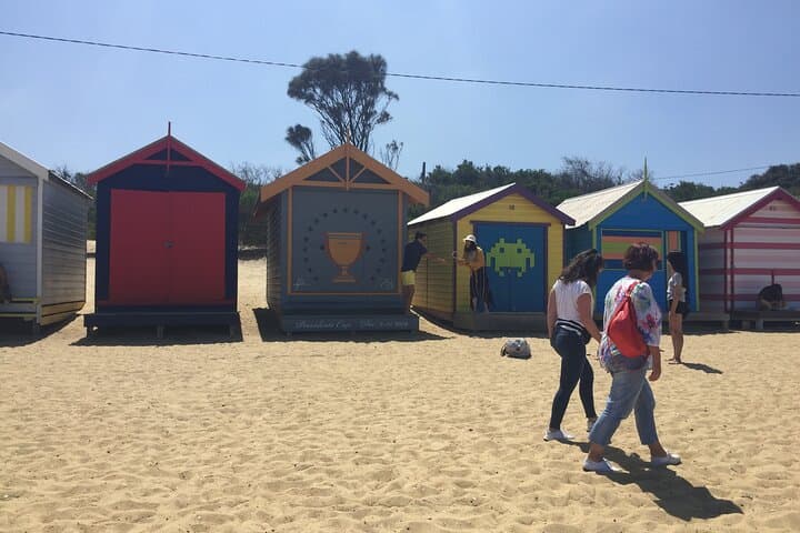 Private 4-Hour Melbourne City Tour: St Kilda, Brighton Boxes & Laneways photo 4