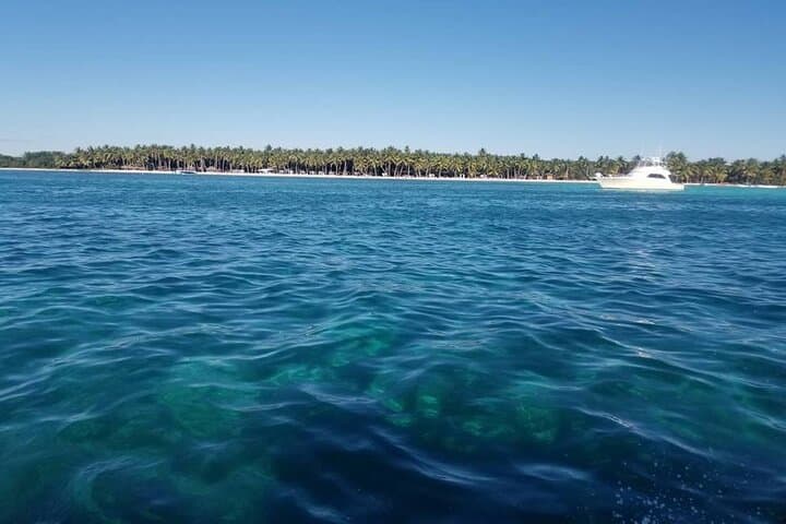 Full-Day Saona Island Tour from Punta Cana — Beaches, Natural Pool & Lunch photo 6