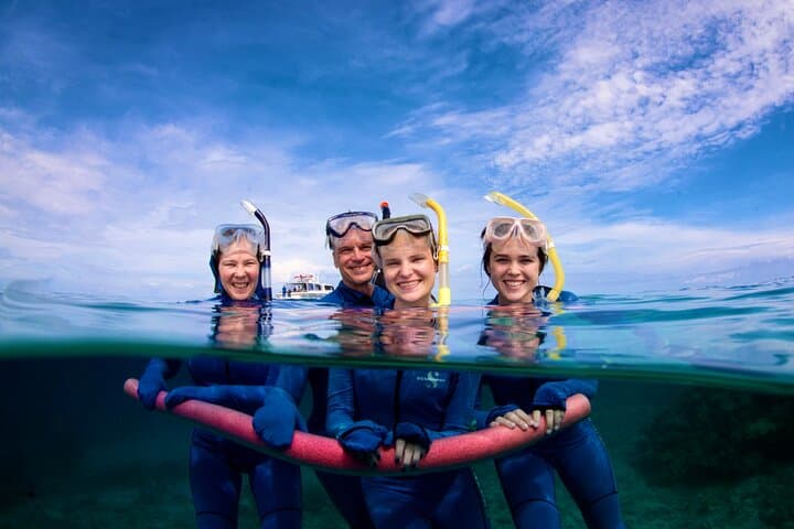 Outer Great Barrier Reef Small-Group Snorkel & Dive from Port Douglas photo 4