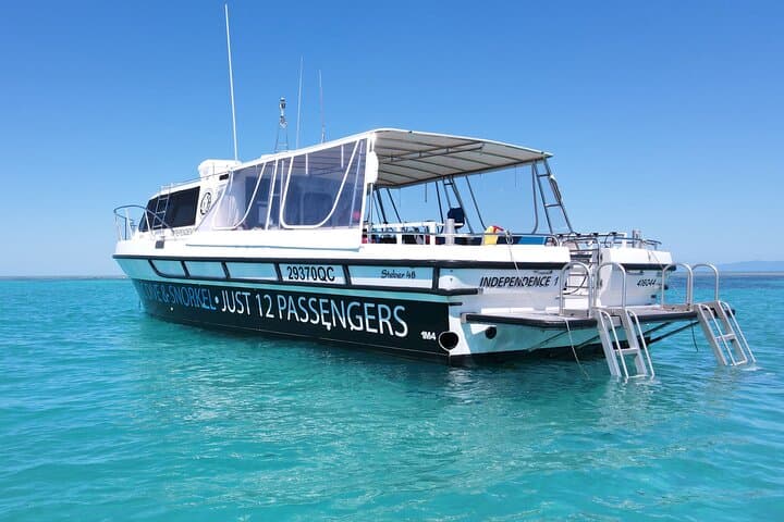 Outer Great Barrier Reef Small-Group Snorkel & Dive from Port Douglas photo 3