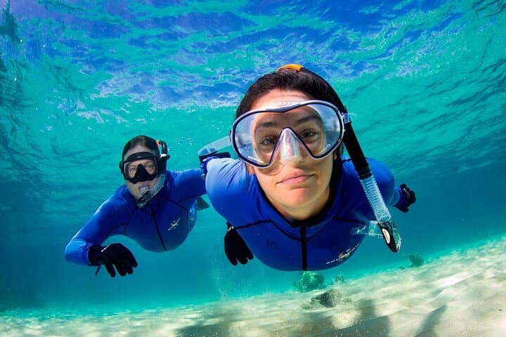 Outer Great Barrier Reef Small-Group Snorkel & Dive from Port Douglas photo 5