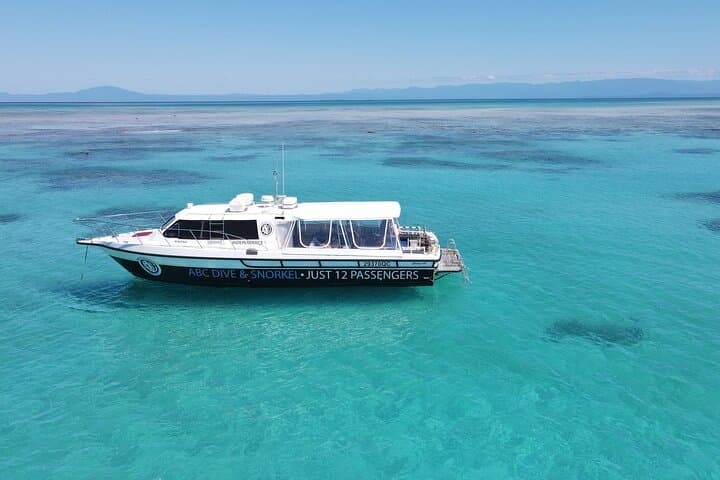 Outer Great Barrier Reef Small-Group Snorkel & Dive from Port Douglas