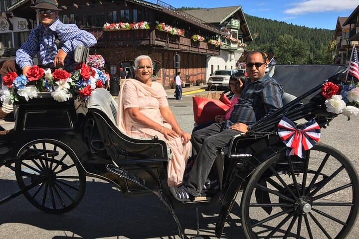 Day Trip to Leavenworth from Seattle: Stevens Pass, Sleigh Rides & Wine Tasting photo 4