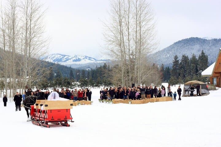 Day Trip to Leavenworth from Seattle: Stevens Pass, Sleigh Rides & Wine Tasting photo 6