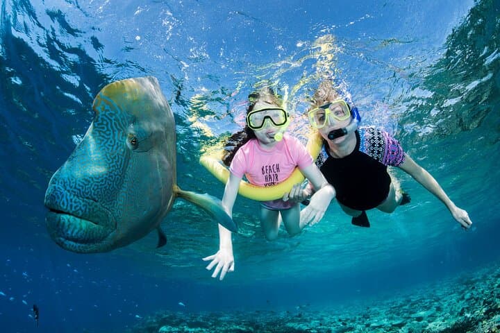 Outer Great Barrier Reef Small-Group Snorkel & Dive from Port Douglas photo 2