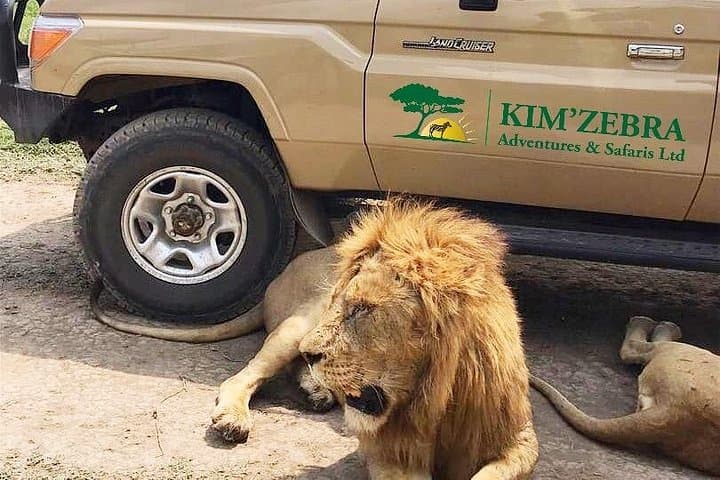 4-Day Tanzania Safari: Serengeti, Ngorongoro & Tarangire Camping Adventure