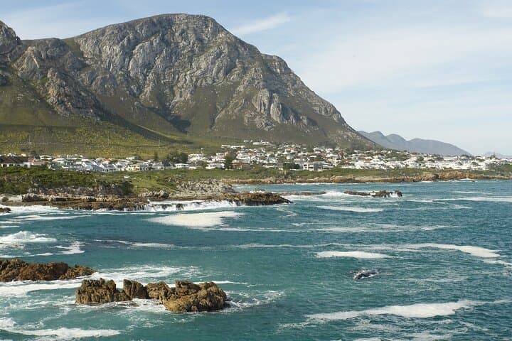 Hermanus Walker Bay Land-Based Whale Walk with Local Guide Dave de Beer photo 2