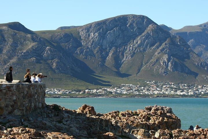 Hermanus Walker Bay Land-Based Whale Walk with Local Guide Dave de Beer photo 3