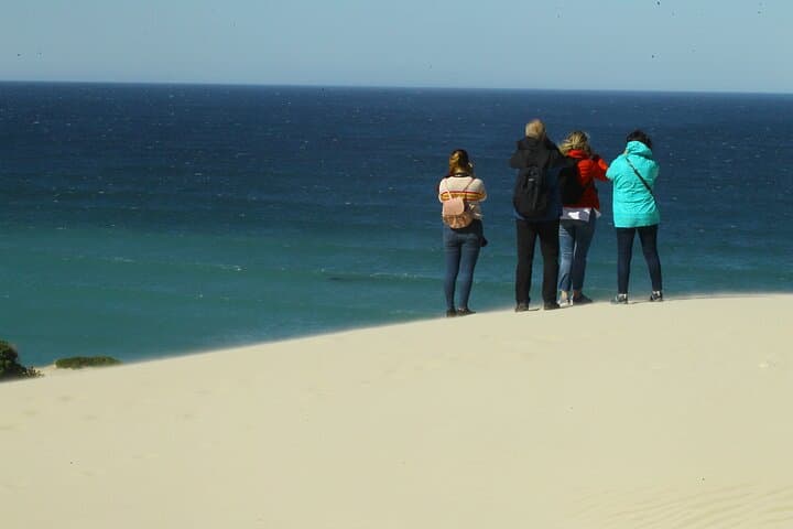 Hermanus Walker Bay Land-Based Whale Walk with Local Guide Dave de Beer photo 4