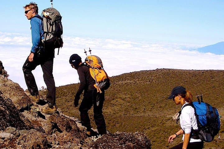 6-Day Marangu Route Kilimanjaro: Hut Trek to Uhuru Peak photo 2