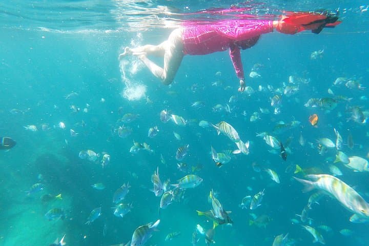 Sea of Cortez Snorkel Adventure from Los Cabos — 4‑Hour VIP Beach Camp photo 4