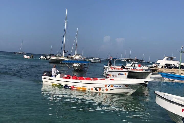 Saona Island Catamaran & Natural Pool Day Trip from Bayahibe