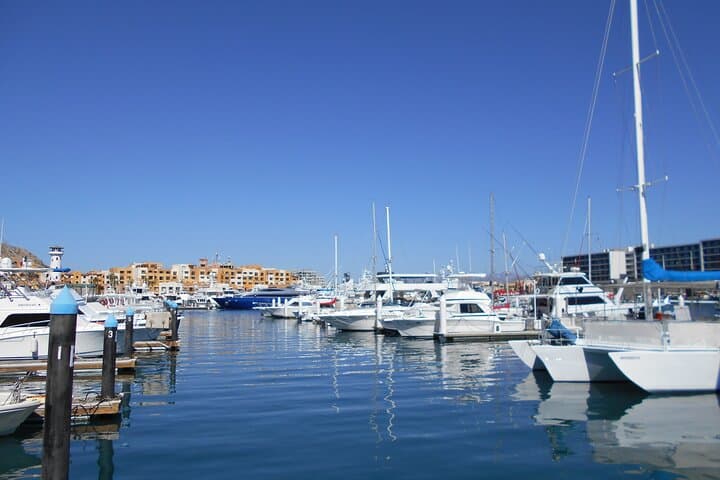 All-Inclusive Cabo San Lucas Snorkel Catamaran to Chileno Bay photo 4