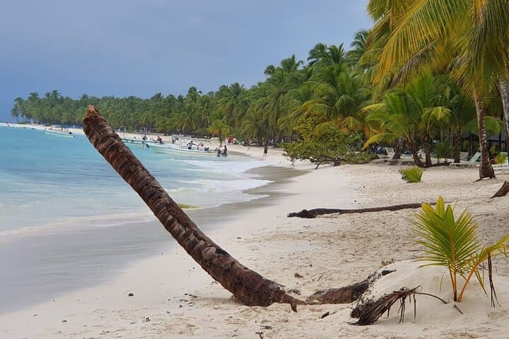 Saona Island Catamaran & Natural Pool Day Trip from Bayahibe photo 4