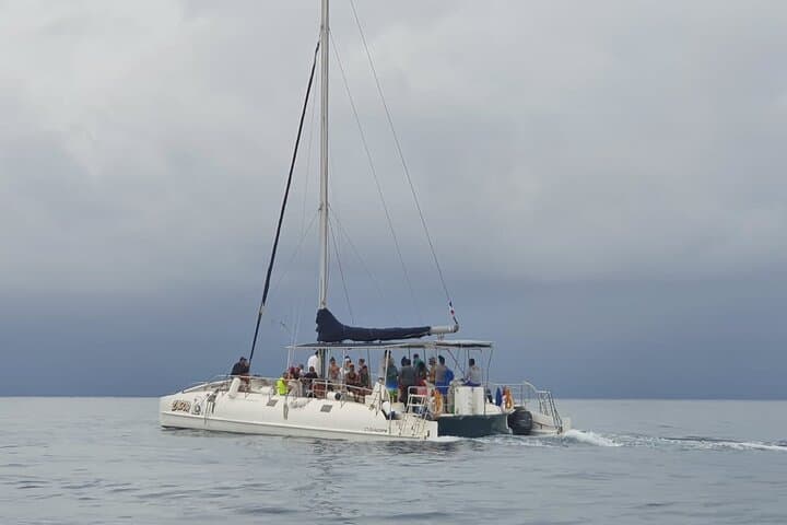 Saona Island Catamaran & Natural Pool Day Trip from Bayahibe photo 5