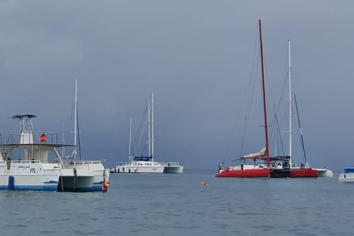 Saona Island Catamaran & Natural Pool Day Trip from Bayahibe photo 6