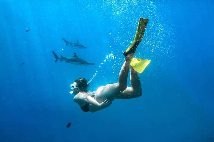 Snorkel with Reef Sharks at Kuata Island – Full-Day Yasawa Cruise photo 2