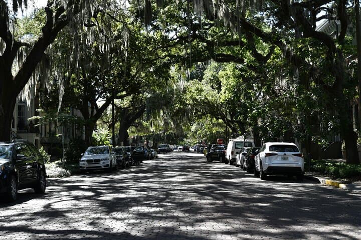 Savannah Historic Square Walk: Chippewa Square to Forsyth Park Audio Tour