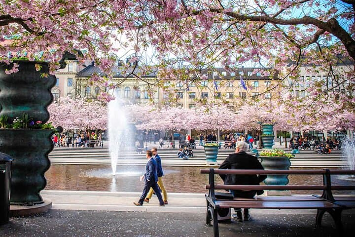 Stockholm e-Scavenger Hunt — Self-Guided City Game Through Gamla Stan & Djurgården photo 4