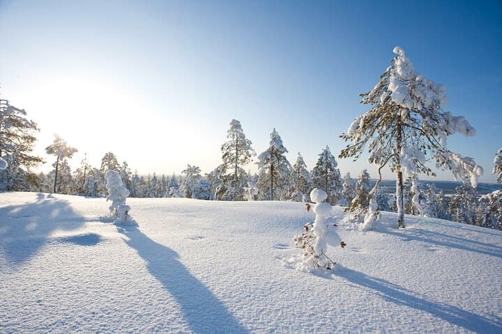 Snowshoe Trekking and Ice Fishing in Rovaniemi — Grill Your Catch on a Frozen Lake photo 1