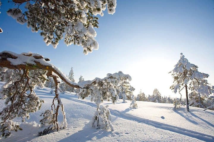 Snowshoe Trekking and Ice Fishing in Rovaniemi — Grill Your Catch on a Frozen Lake photo 2