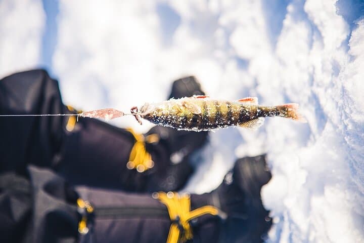 Ice Fishing Excursion with Campfire in Rovaniemi — Arctic Lake Experience photo 2