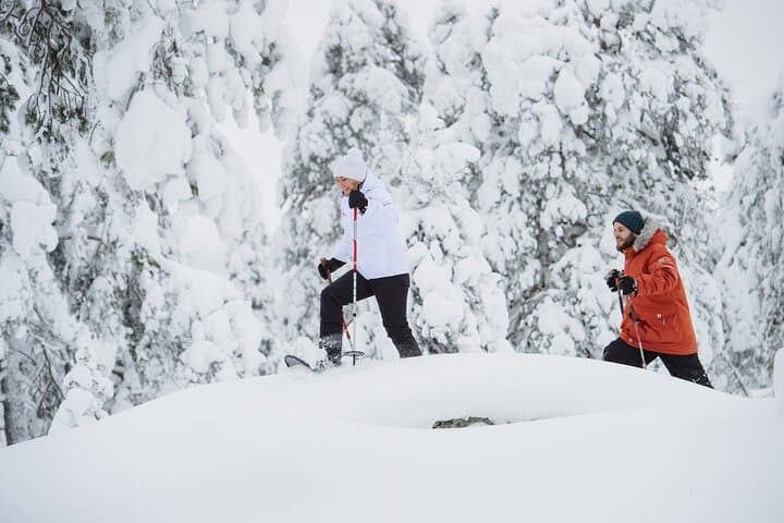 Arctic Snowshoe Trek Along Viiksjärvi with Campfire BBQ from Rovaniemi photo 6