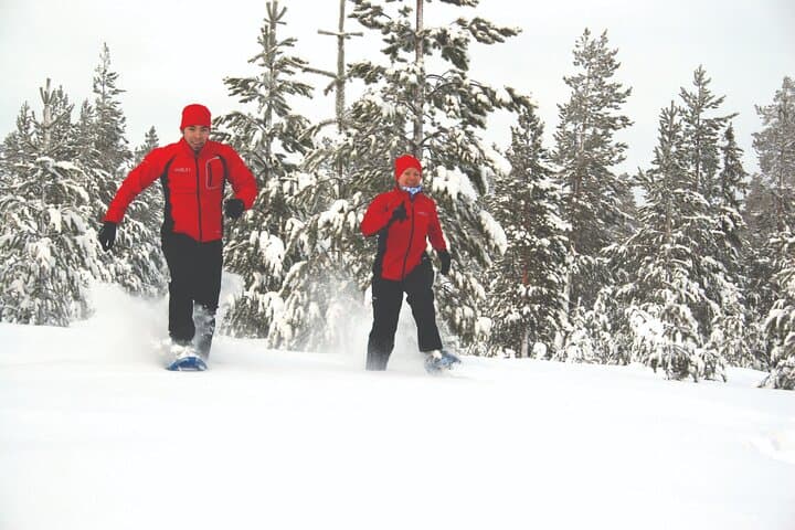 Arctic Snowshoe Trek Along Viiksjärvi with Campfire BBQ from Rovaniemi