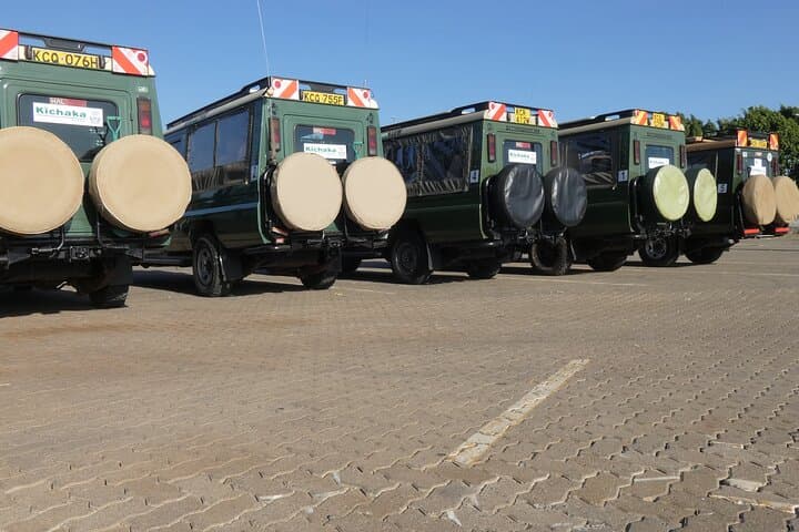 Explore Nairobi National Park: A Unique City-Edge Safari Experience photo 5